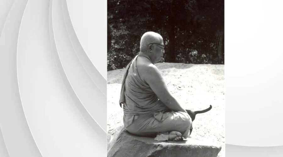 44 Materialism-the Most Dangerous Cat-final.