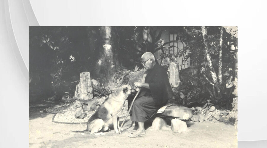 44 You Must Like My Friend Too-final