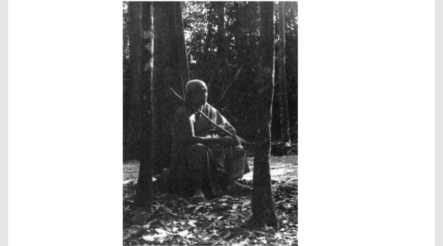 45 More Progress = More Crazy-final