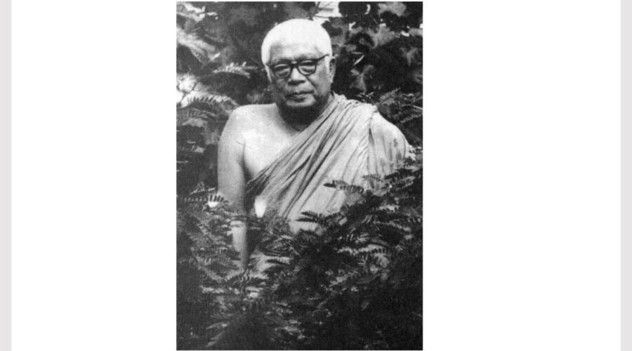 45 You Just Create Mara Yourself-final