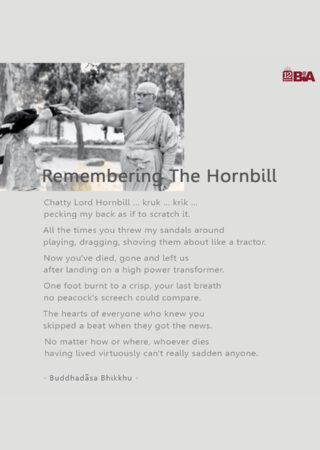 49 Remembering The Hornbill-