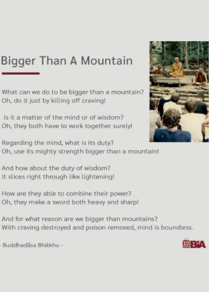 5 Bigger Than A Mountain-