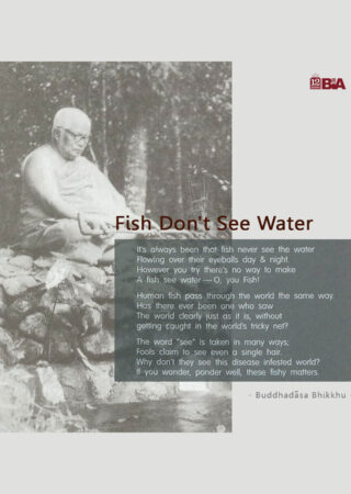 52 Fish Don't See Water-