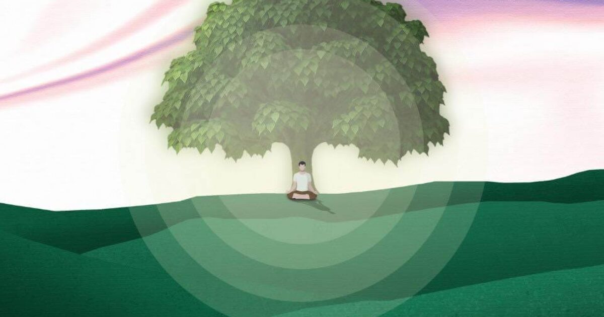 520912050_1169376401884621_3686507425916629526_n