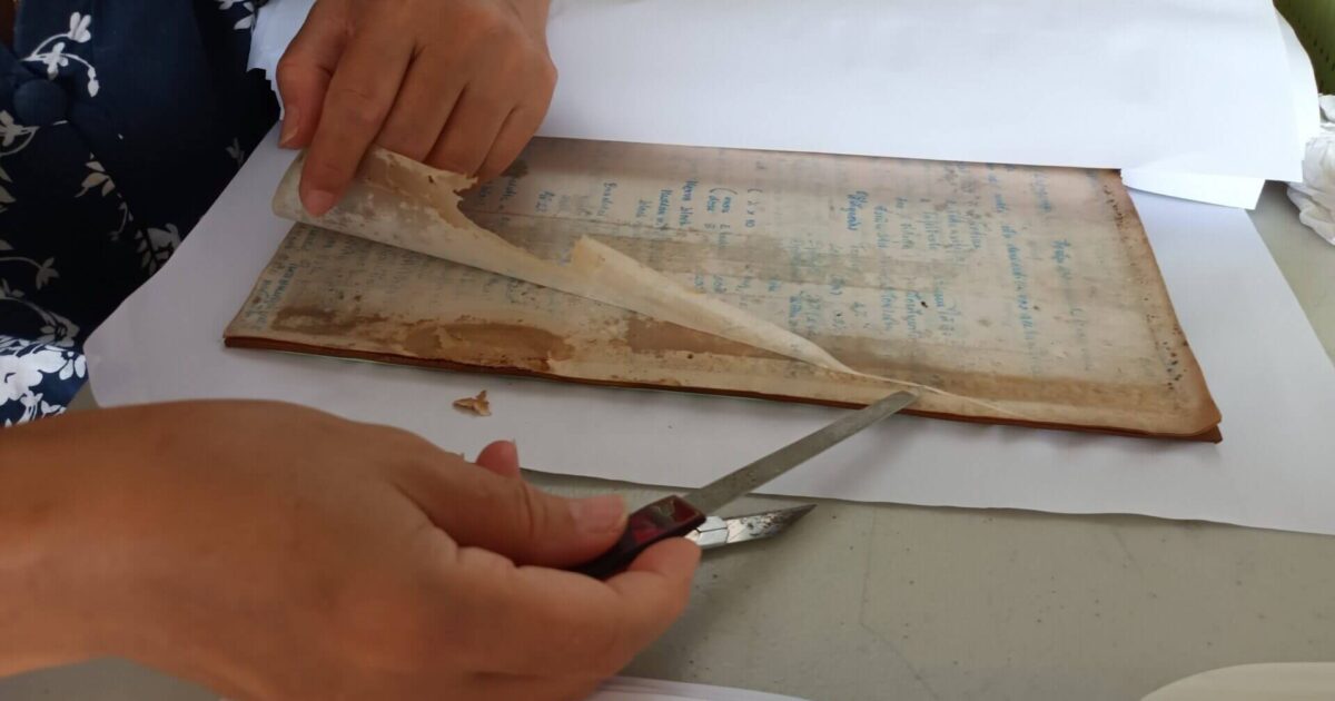 595133992_1289292823226311_2568030520754358346_n