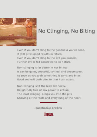 8 No Clinging, No Biting-