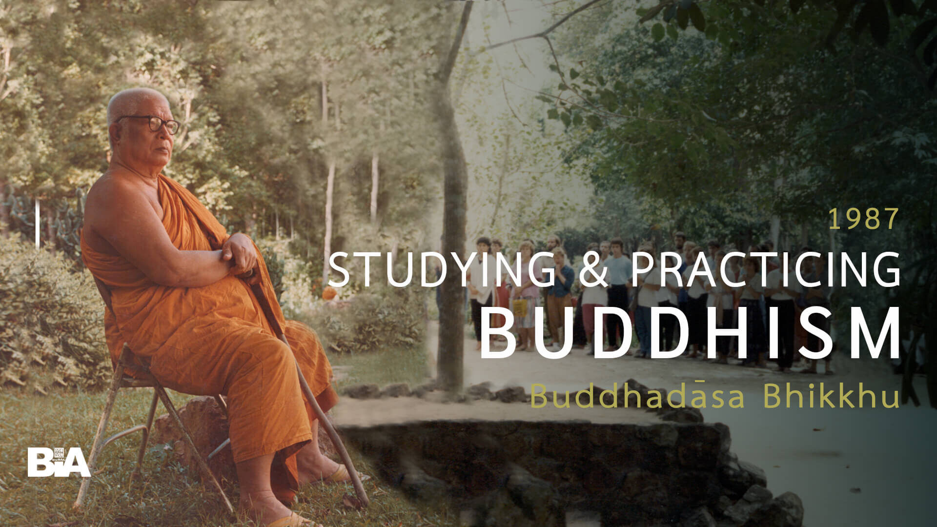 8701 Studying & Practicing Buddhism