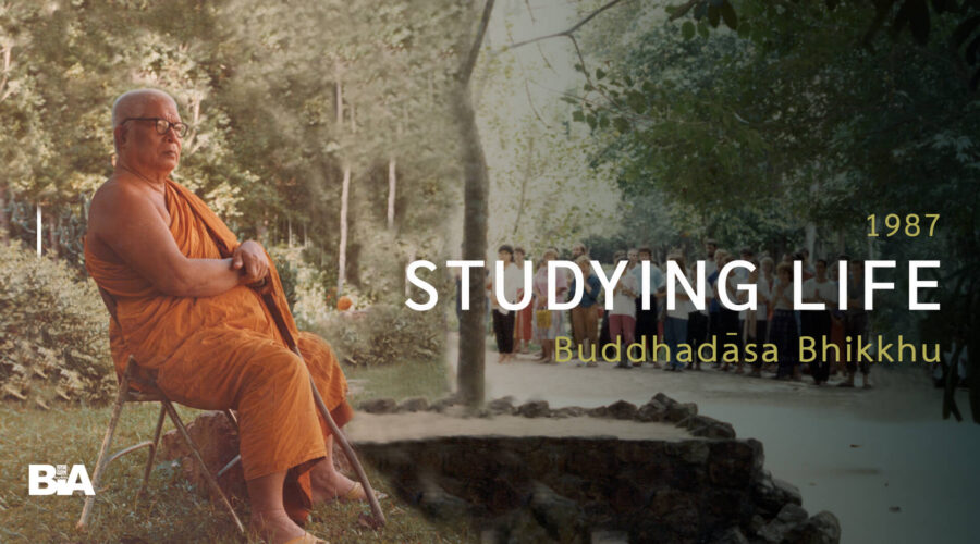 8702 Studying Life