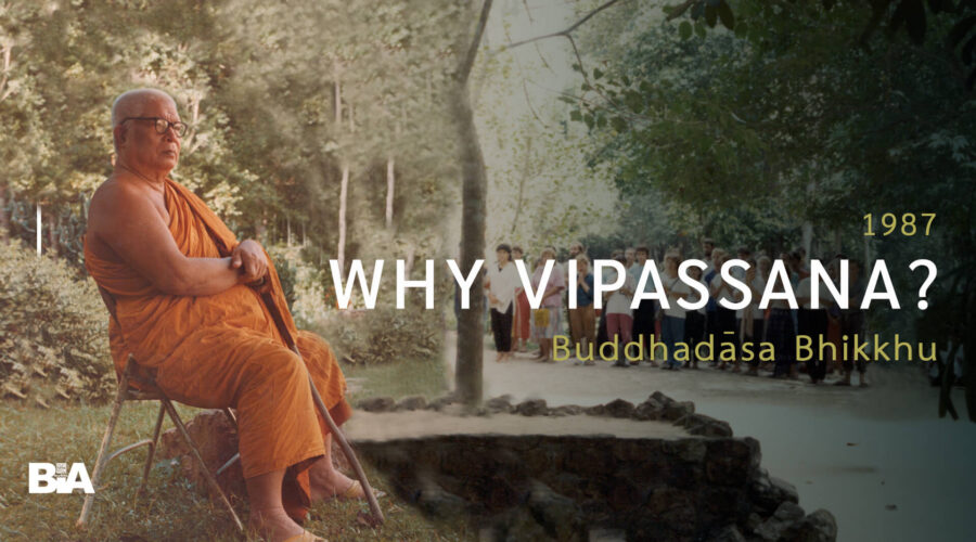 8704 Why Vipassana