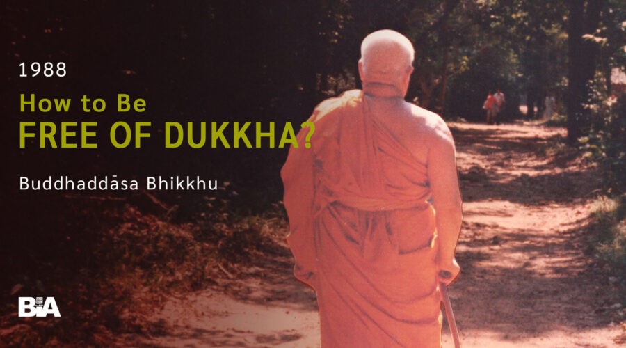 8810 How to Be Free of Dukkha?