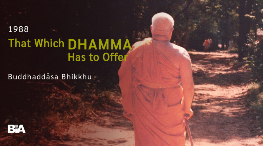 8811 That Which Dhamma Has to Offer