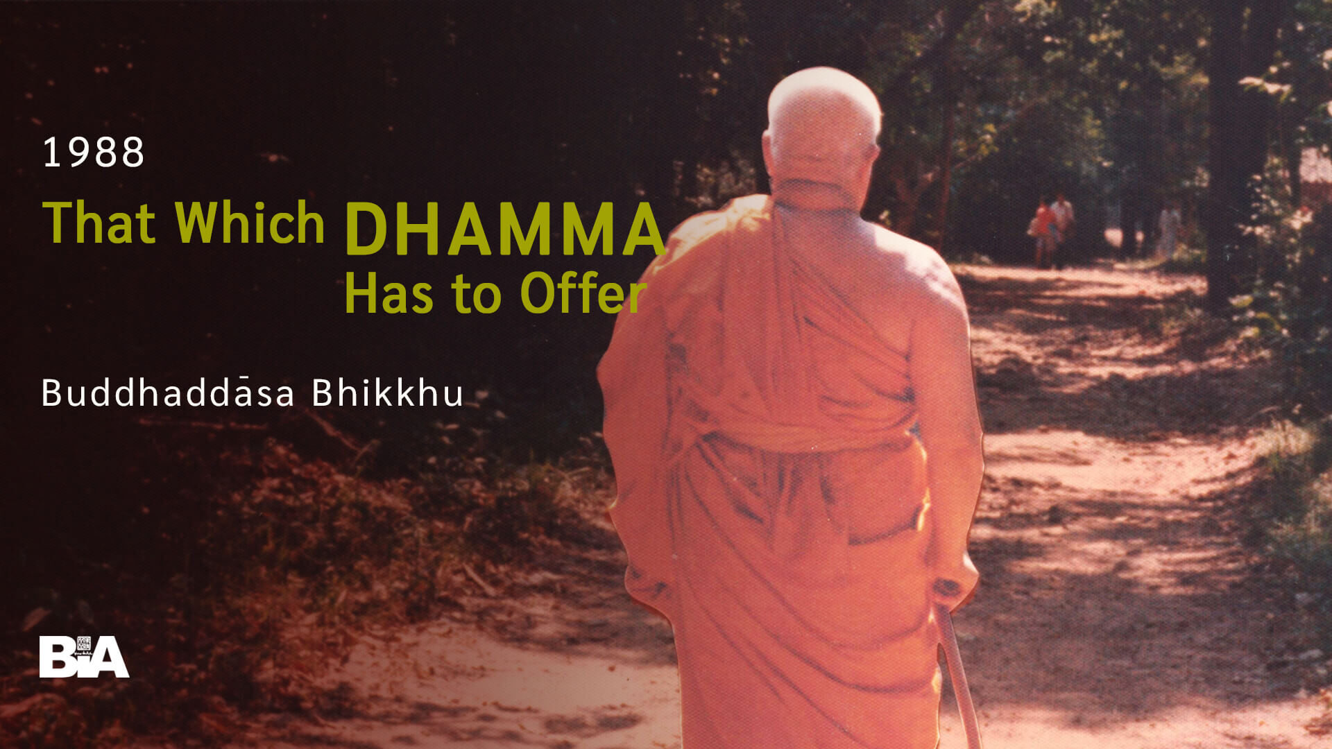 8811 That Which Dhamma Has to Offer