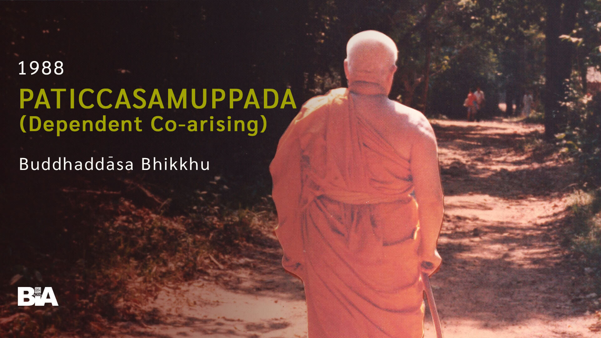 8812 Paticcasamuppada  (Dependent Co-arising)