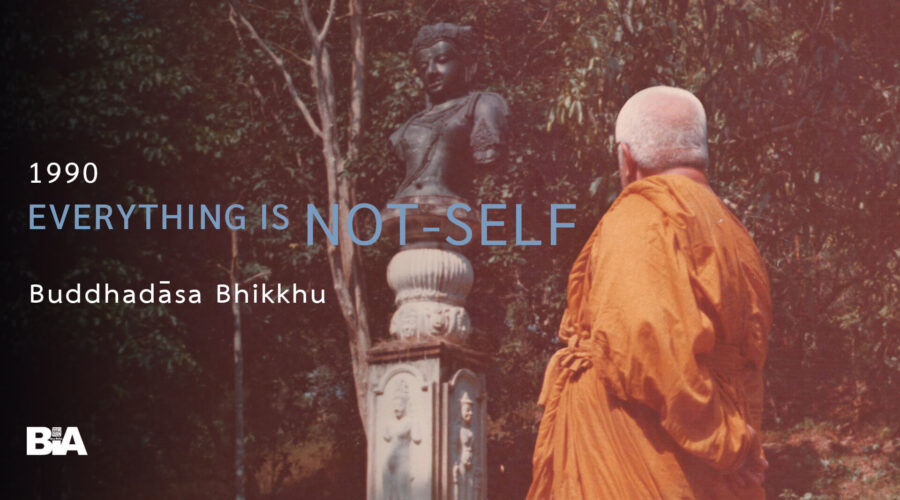9008 Everything Is Not-Self