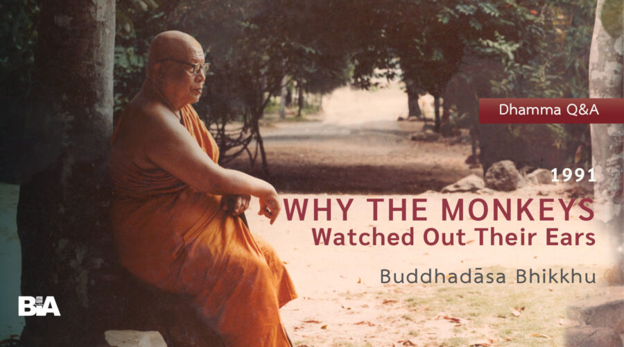 9110 Dhamma Questions & Answers