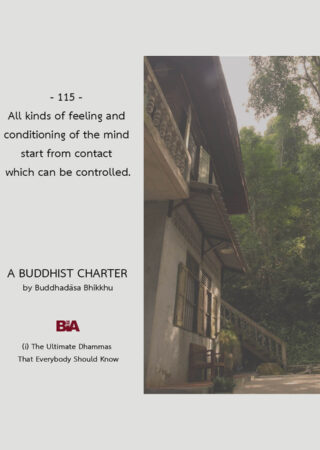 A Buddhist Charter (115)