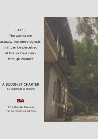 A Buddhist Charter (117)
