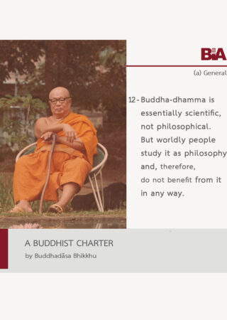 A Buddhist Charter (12)