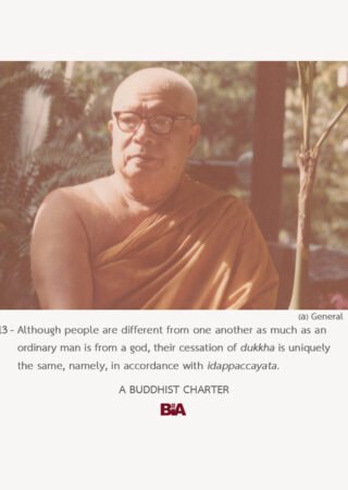 A Buddhist Charter (13)