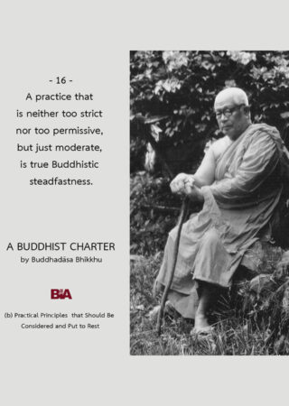 A Buddhist Charter (16)