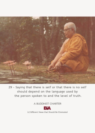 A Buddhist Charter (29)