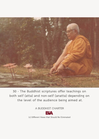 A Buddhist Charter (30)