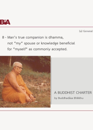 A Buddhist Charter (8)