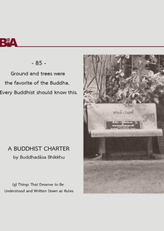 A Buddhist Charter (85)
