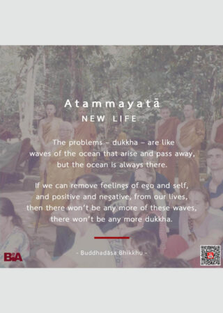 Atammayata (3)
