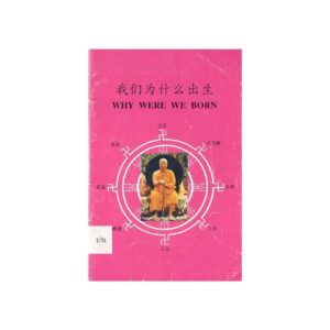 Buddhadasa Bhikkhu-我们为什么出生 Why Were We Born (1995)