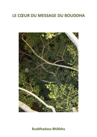 Coeur-du-message-du-bouddha-cover-web