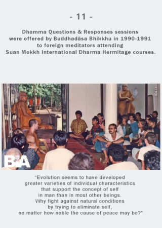 Dhamma Q&R IDH Retreat (11)