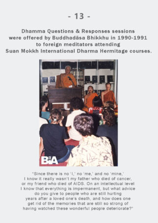 Dhamma Q&R IDH Retreat (13)
