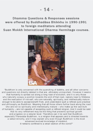 Dhamma Q&R IDH Retreat (14)
