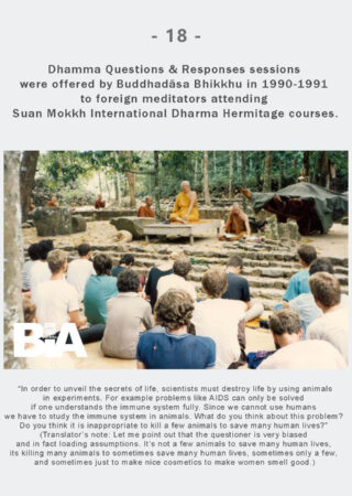 Dhamma Q&R IDH Retreat (18)