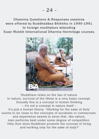 Dhamma Q&R IDH Retreat (24)