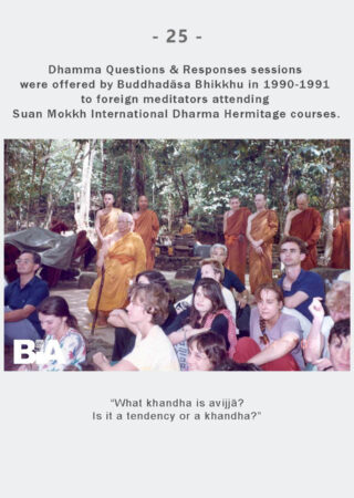 Dhamma Q&R IDH Retreat (25)