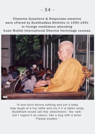 Dhamma Q&R IDH Retreat (34)