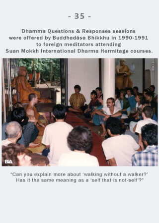 Dhamma Q&R IDH Retreat (35)