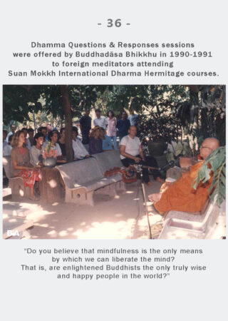 Dhamma Q&R IDH Retreat (36)