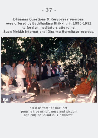 Dhamma Q&R IDH Retreat (37)