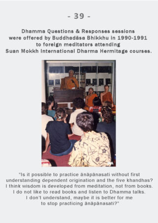 Dhamma Q&R IDH Retreat (39)