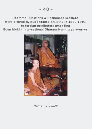 Dhamma Q&R IDH Retreat (40)