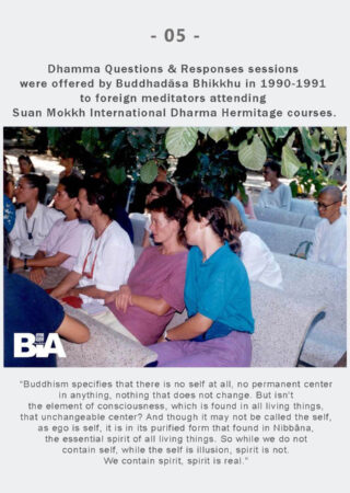 Dhamma Q&R IDH Retreat (5)