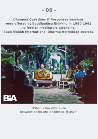 Dhamma Q&R IDH Retreat (8)