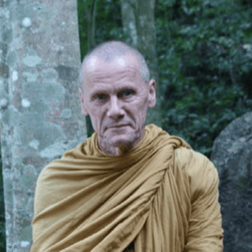 Dhammavidu+Bhikkhu