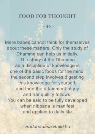 Food for Thought (46)