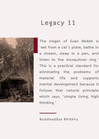 Legacy (11)