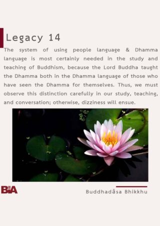 Legacy (14)