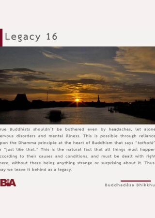 Legacy (16)